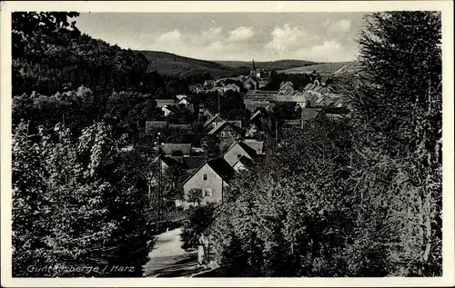 Ak Güntersberge Harzgerode am Harz, Panorama