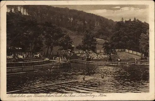 Ak Bad Lauterberg im Harz, Badeleben, Wiesenbeker Teich