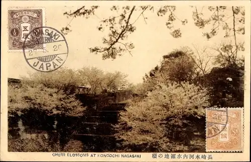 Ak Nagasaki Präfektur Nagasaki Japan, Kirschblüten