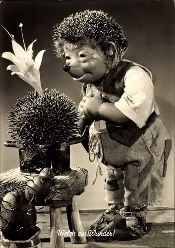 Ak Mecki der Igel, Welch ein Wunder, Blühender Kaktus