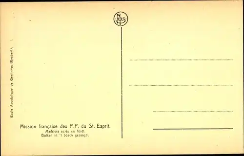 Ak Mission Francaise du St. Esprit, Im Wald gesägte Baumstämme