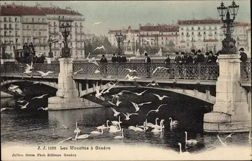 Ak Genf Genf Schweiz, Brücke, Les Mouettes