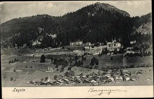 Ak Leysin Kanton Waadt, Vue generale