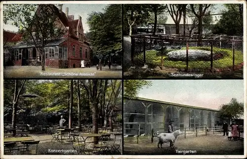 Ak Bad Gandersheim am Harz, Restaurant Schöne Aussicht, Seehundezwinger, Tiergarten