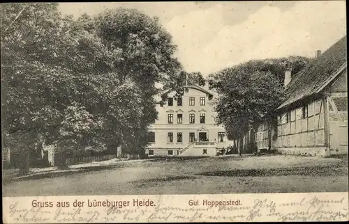 Ak Bergen in der Lüneburger Heide, Gut Hoppenstedt