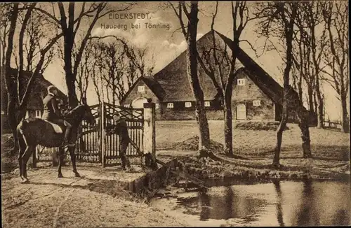 Ak Tönning an der Eider Nordfriesland, Eiderstedter Land, Hauberg