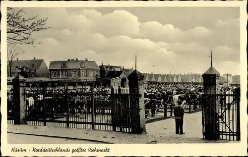 Ak Husum in Nordfriesland, Viehmarkt