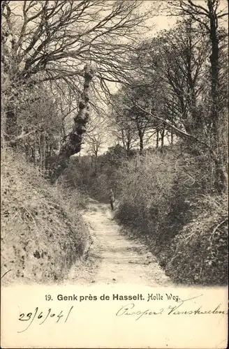 Ak Hasselt Flandern Limburg, Holle Weg