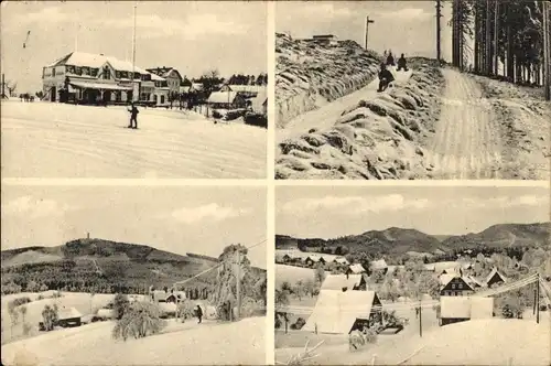 Ak Hain Oybin in der Oberlausitz, Baude Kaiser Wilhelms-Höhe, Rodelbahn, Winter