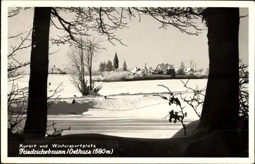 Ak Friedrichsbrunn Thale im Harz, Winter, Panorama