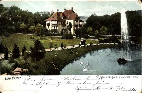 Ak Bad Elster Erzgebirge, Albert Park Villa Carola Weiher, Brunnen, Schwäne