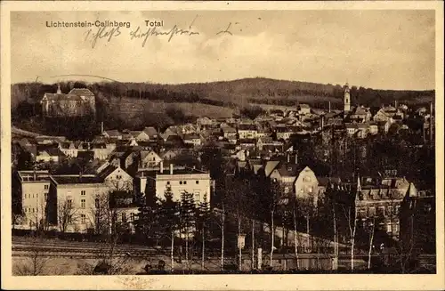 Ak Lichtenstein Callnberg Sachsen, Totalansicht