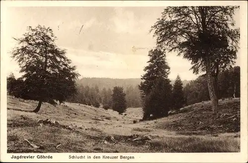 Ak Göhrde in Niedersachsen, Schlucht, Kreuzer Bergen