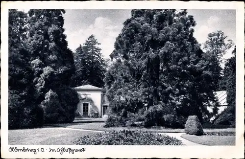 Ak Oldenburg in Niedersachsen, Schlossgarten