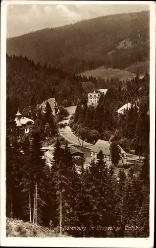 Ak Waldbärenburg Bärenburg Altenberg im Erzgebirge, Talblick, Wald