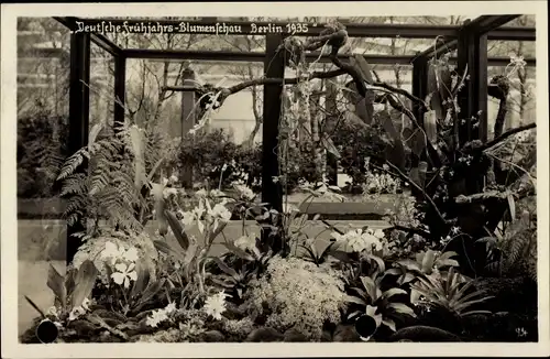 Foto Ak Berlin, Deutsche Frühjahrs-Blumenschau 1935