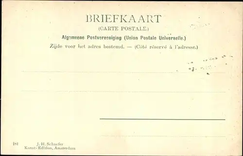 Ak Niederlande, Tulpenfeld, Windmühle