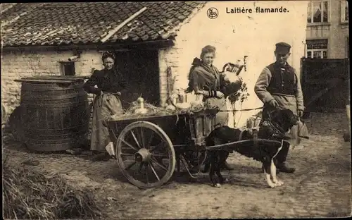 Ak Laitière flamande, Flämisches Milchmädchen, Zughund, Hundekarren