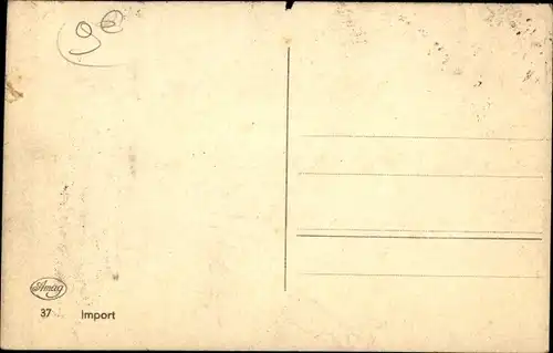 Ak Hundeportrait, zwei Terrier