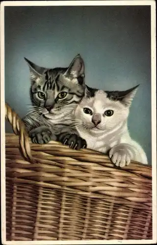 Ak Zwei Katzenbabys, Korb, Portrait
