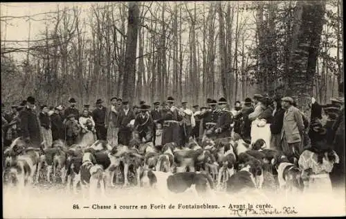 Ak Wald von Fontainebleau Seine et Marne, Jagd, Vor der Heilung, Hunde