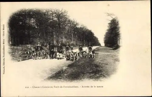 Ak Wald von Fontainebleau Seine et Marne, Jagd, Ankunft des Rudels, Hunde