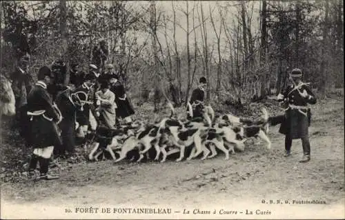 Ak Wald von Fontainebleau Seine et Marne, Jagd, La Curee, Hunde