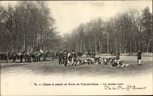 Ak Foret de Fontainebleau Seine et Marne, Jagd, Das Treffen, Die Hunde