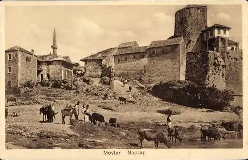 Ak Mostar Bosnien Herzegowina, Häuser, Fluss, Rinder, Pferde