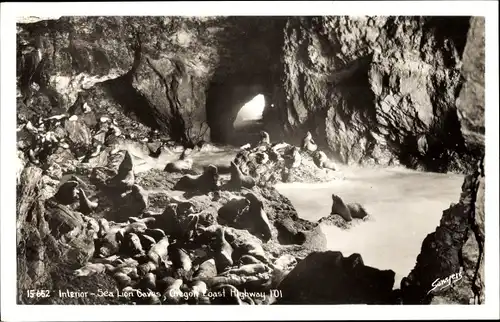 Ak Oregon USA, Sea Lion Caves