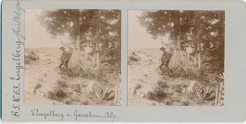 Stereo Foto Engelberg Kt. Obwalden Schweiz, Gerschni Alp, Mann mit Rückentrage, 1900