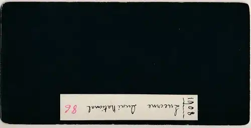 Stereo Foto Luzern Stadt Schweiz, Stadtansicht, Anlegestelle, 1908