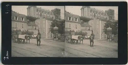 Stereo Foto Pau Pyrénées Atlantiques, Stadtansicht, Rinderkarren, 1909