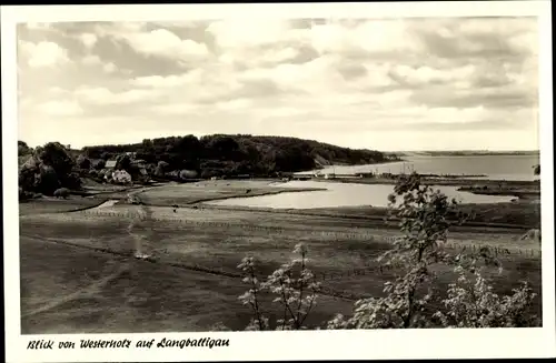 Ak Langballigau Langballig in Angeln Schleswig Holstein, Blick von Westerholz