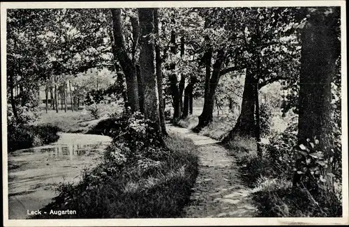 Ak Leck in Nordfriesland, Augarten