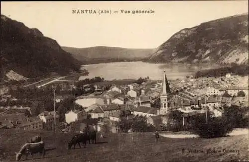 Ak Nantua Ain, Totalansicht