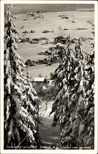 Ak Aschberg Klingenthal im Vogtland Sachsen, Braunhund-Wald, Winter