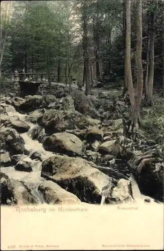 Ak Rochsburg Lunzenau in Sachsen, Muldenthal, Brausethal, Brücke, Fluss