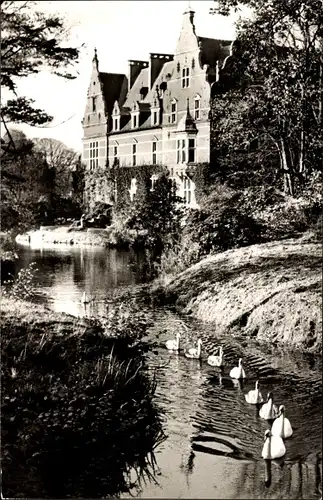 Ak Lütetsburg in Ostfriesland, Schloss, Schwäne