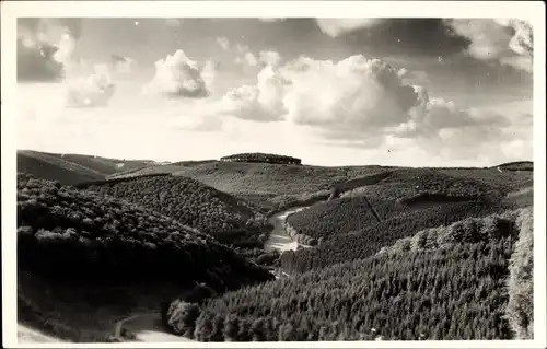 Foto Ak Bad Laasphe in Westfalen, Panorama, Wald