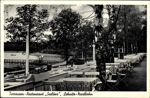 Ak Lehnitz an der Nordbahn Oranienburg, Terrassen-Restaurant Seelöwe