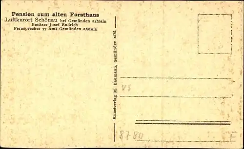 Ak Schönau Gemünden am Main, Pension zum alten Forsthaus