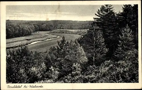 Ak Walsrode in der Lüneburger Heide, Bomlitztal, Panorama