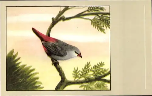 Ak Schönbürzelchen, Vogel