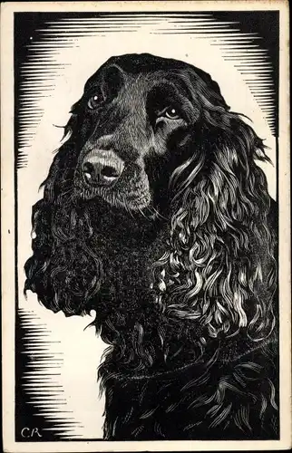 Künstler Ak Hund, Tierportrait