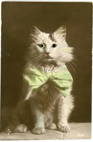 Stoff Ak Katze mit Plastikaugen, Grüne Schleife, Tierportrait