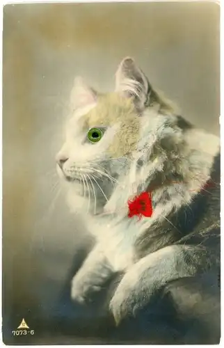 Stoff Ak Katze mit Plastikaugen, Stoff-Schleife, Tierportrait
