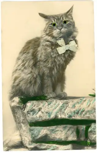 Stoff Ak Katze mit Plastikaugen, Stoff-Schleife, Tierportrait