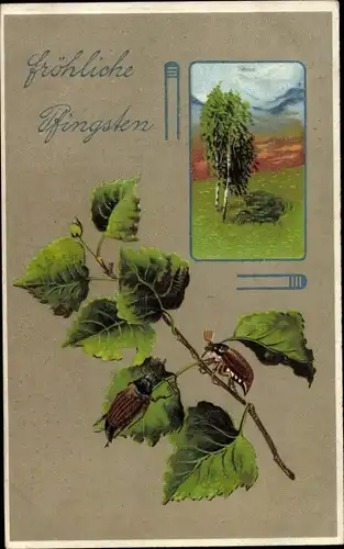 Ak Glückwunsch Pfingsten, Maikäfer, Laubblätter, Birken