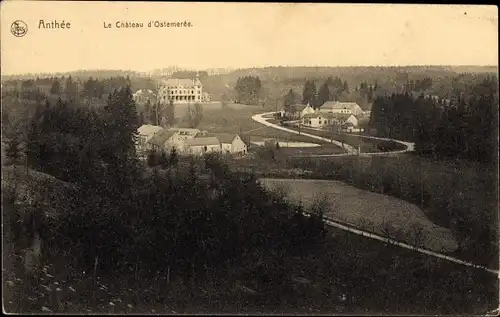 Ak Anthée Onhaye Wallonien Namur, Château de Ostemerée